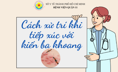 (HCDC) Cách xử trí khi tiếp xúc với kiến ba khoang